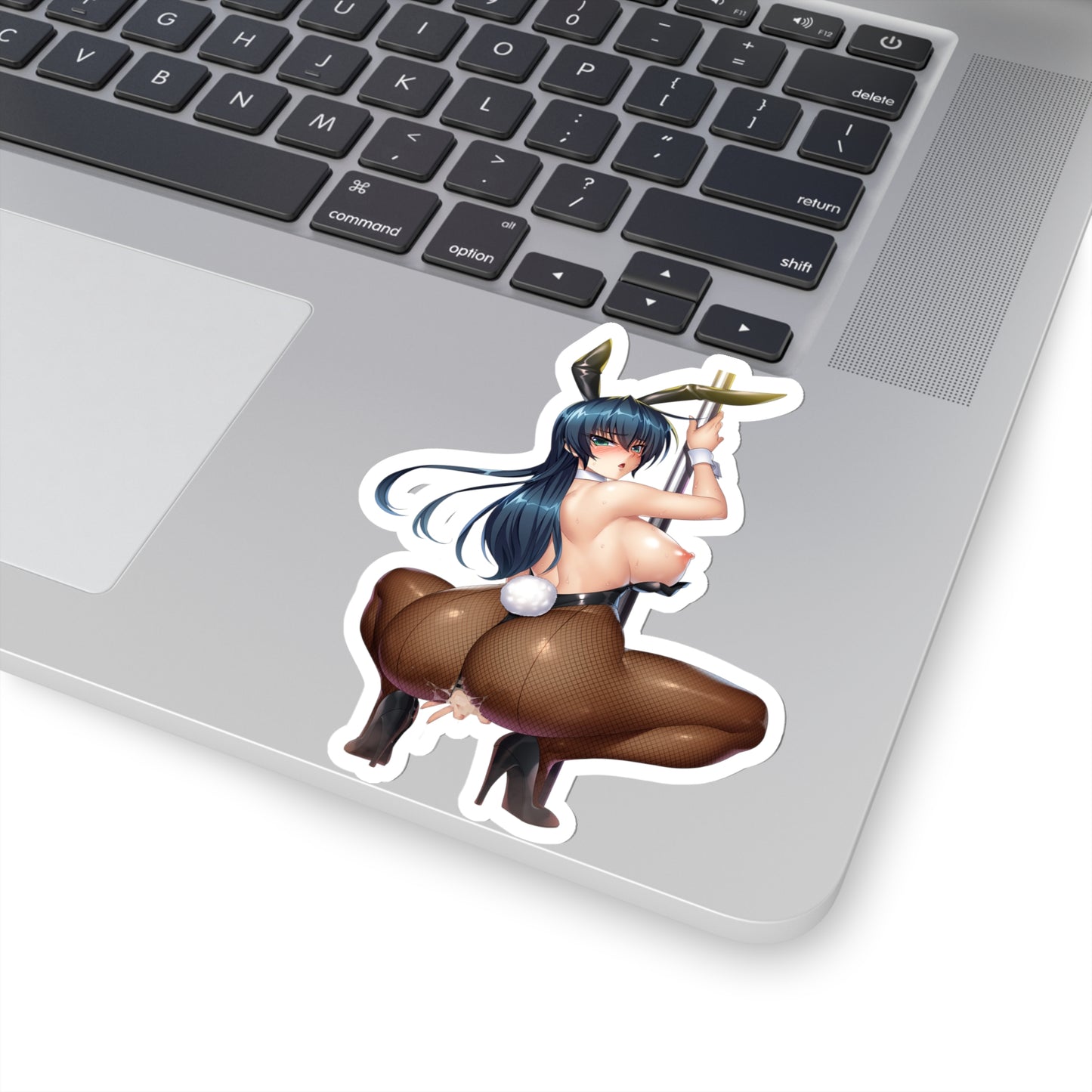 Sexy Anime Sticker | Igawa Asagi | Lewd Anime Sticker | Lewd Sticker | Sexy Waifu Sticker | Taimanin Asagi | Stripper