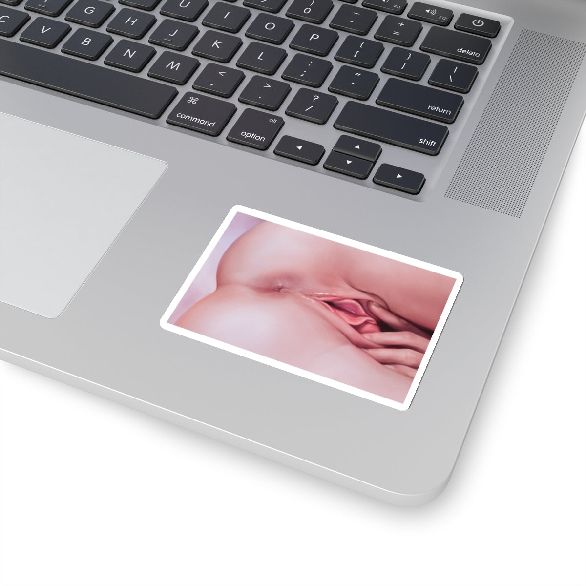 Closeup Masturbation Sticker | Pussy Spread | Anus | Vagina | Asshole | Lewd Sticker | Lewd Anime Sticker | Hentai Sticker | Masturbating | Pussy