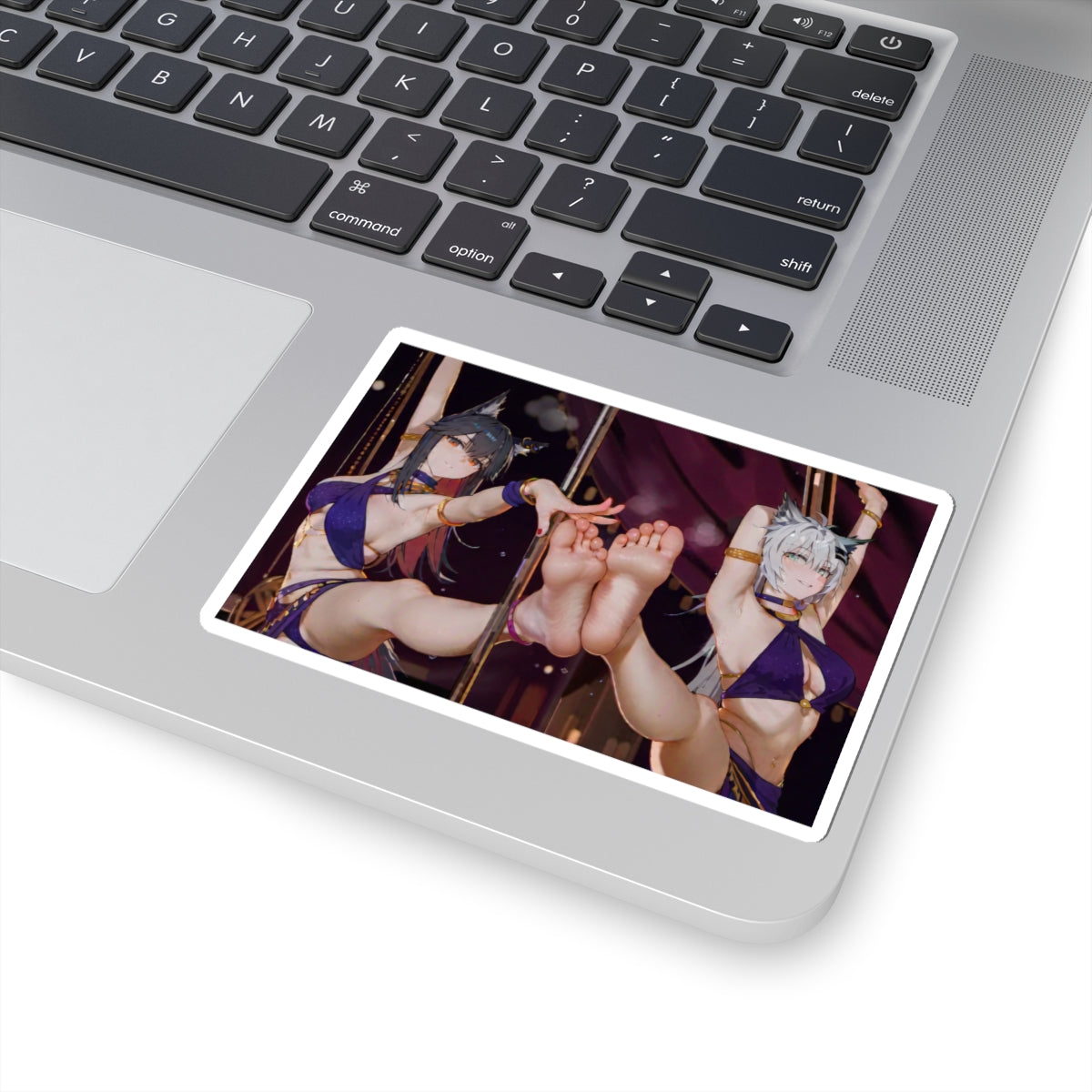 Sexy Waifus Sticker | Feet | Foot Fetish