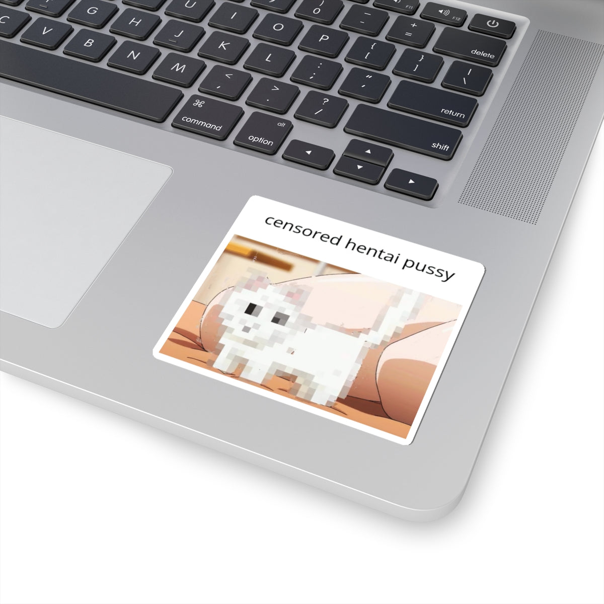 Hentai Pussy Sticker | Humor | Funny | Censored Hentai