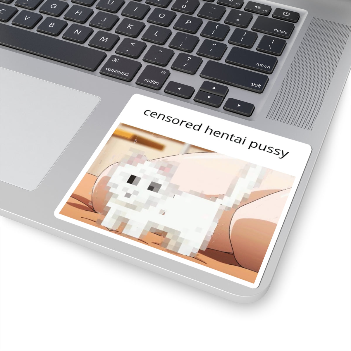 Hentai Pussy Sticker | Humor | Funny | Censored Hentai
