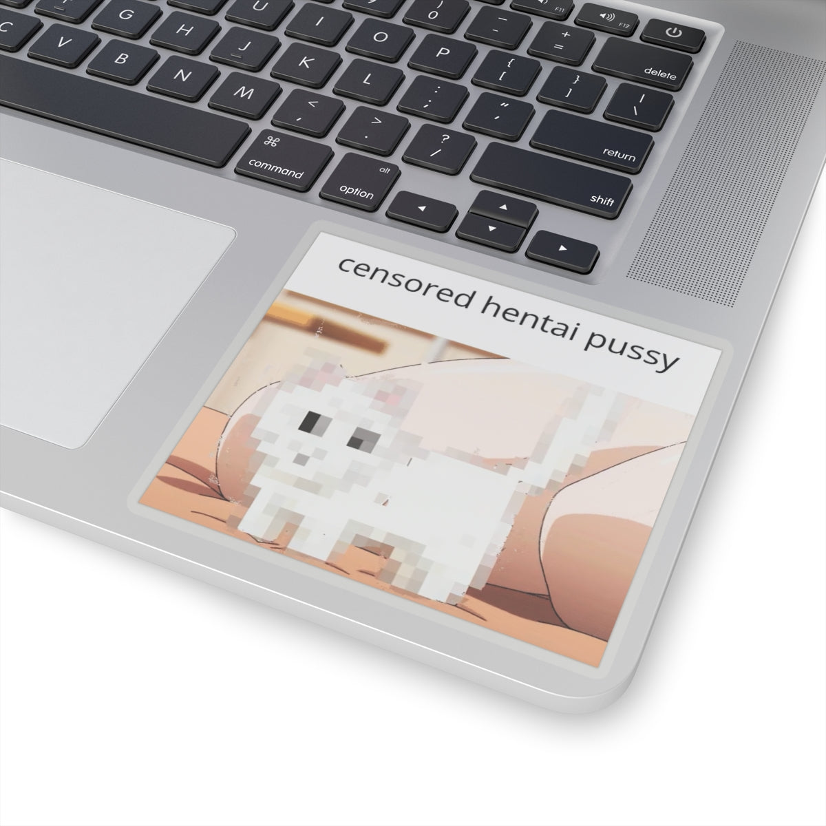 Hentai Pussy Sticker | Humor | Funny | Censored Hentai