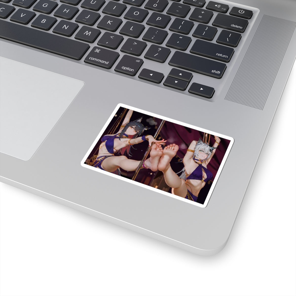 Sexy Waifus Sticker | Feet | Foot Fetish