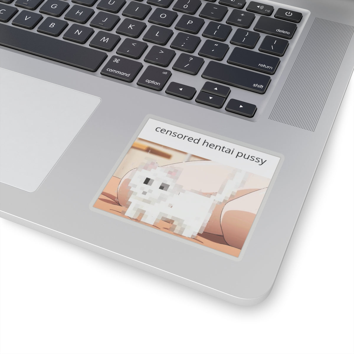 Hentai Pussy Sticker | Humor | Funny | Censored Hentai