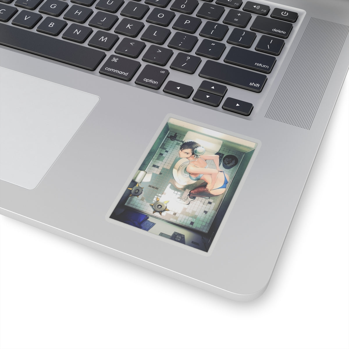 Voyeurism Sticker | Chun | Fighter | Toilet
