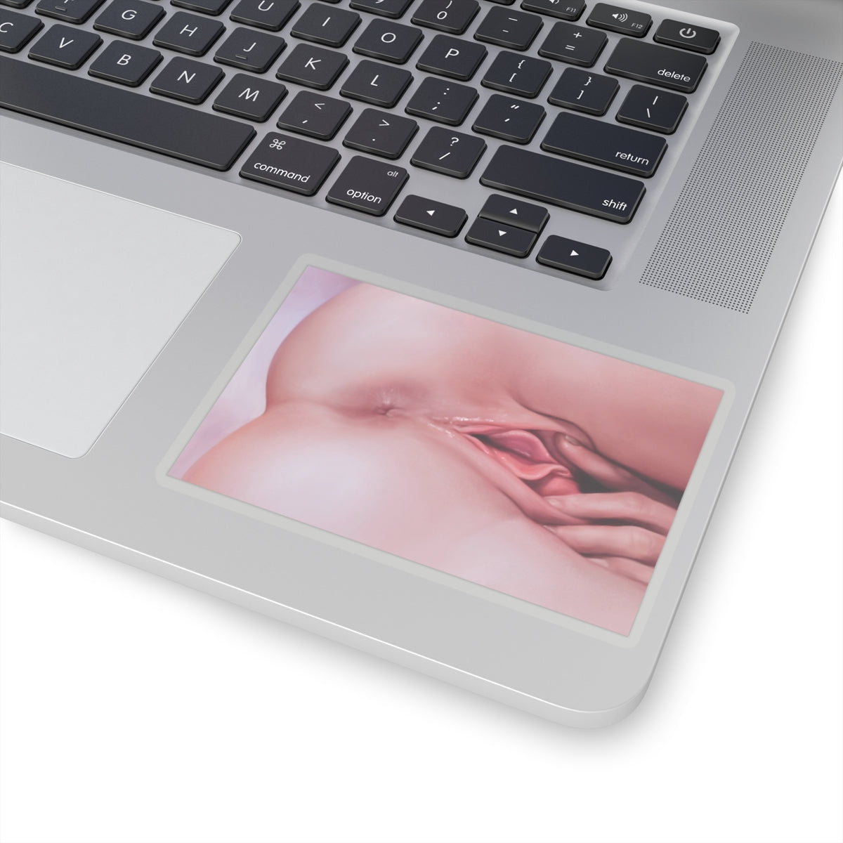 Closeup Masturbation Sticker | Pussy Spread | Anus | Vagina | Asshole | Lewd Sticker | Lewd Anime Sticker | Hentai Sticker | Masturbating | Pussy