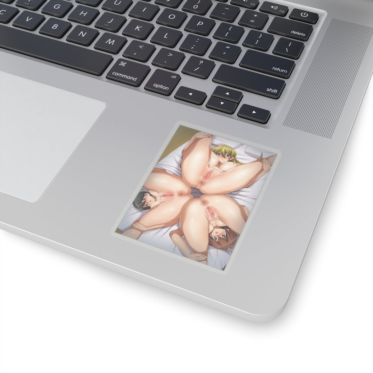 Sexy Waifus Sticker | Asshole | Anus | Pussy | Lewd Sticker | Lewd Anime Sticker | Hentai Sticker | Harem