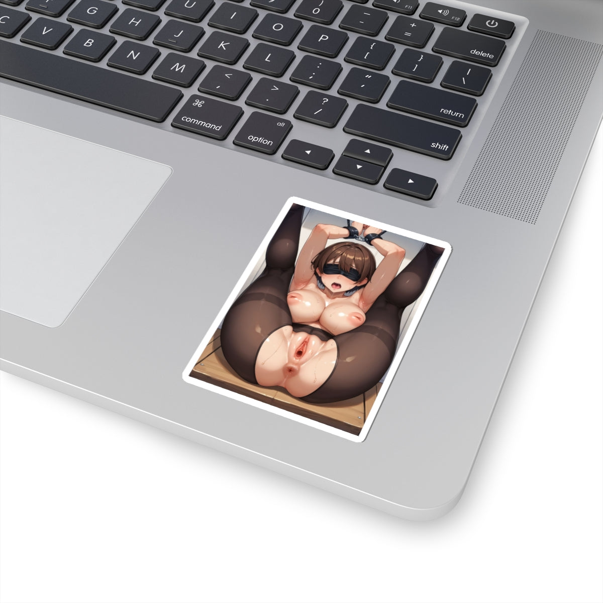 Hentai Sticker | BDSM | Blindfold | Anus | Pussy | Anal