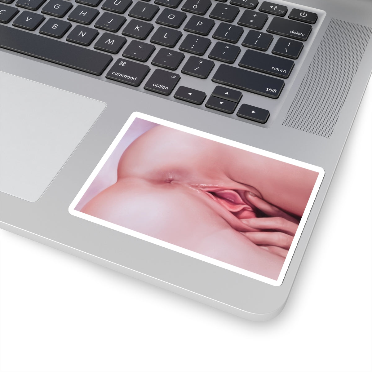 Closeup Masturbation Sticker | Pussy Spread | Anus | Vagina | Asshole | Lewd Sticker | Lewd Anime Sticker | Hentai Sticker | Masturbating | Pussy