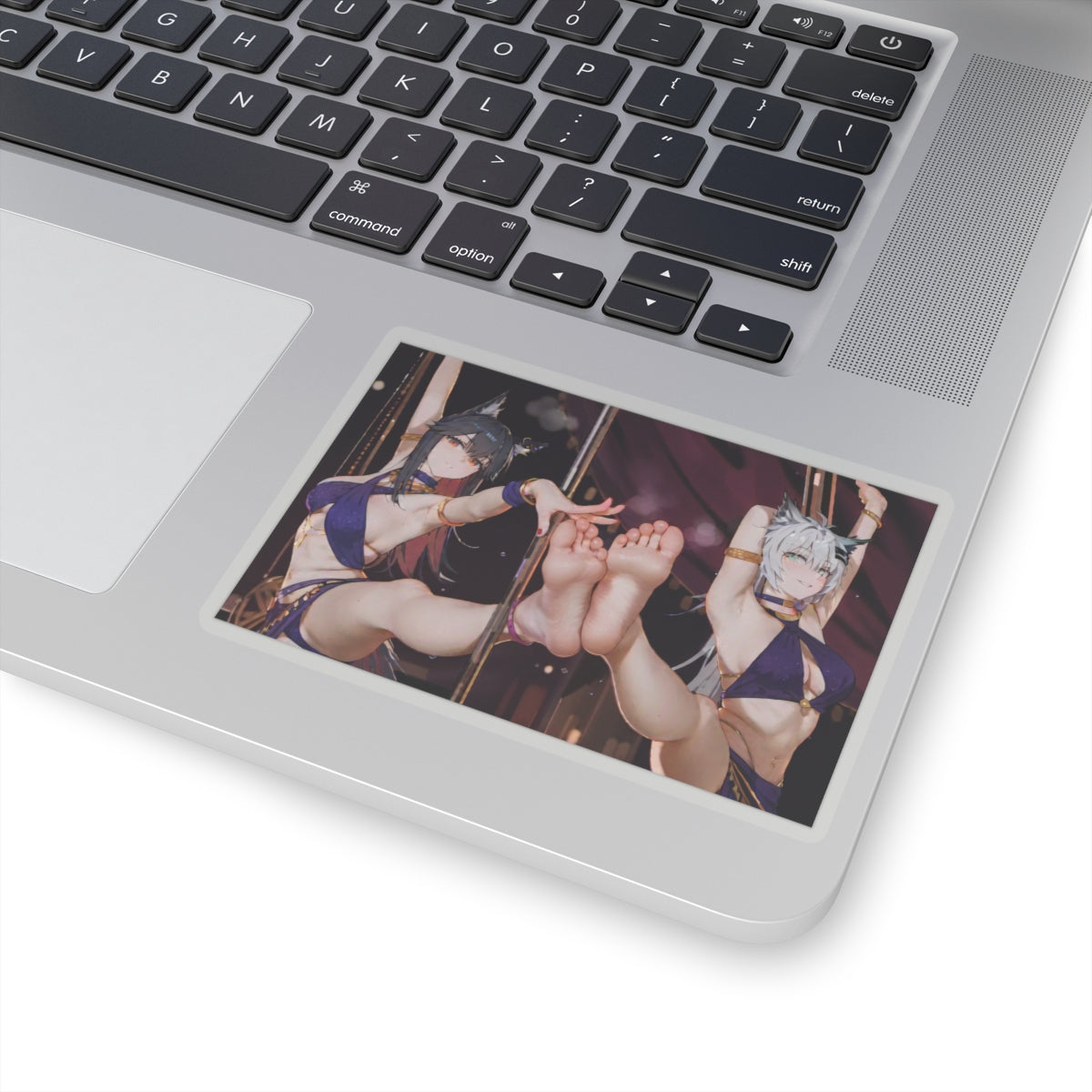 Sexy Waifus Sticker | Feet | Foot Fetish