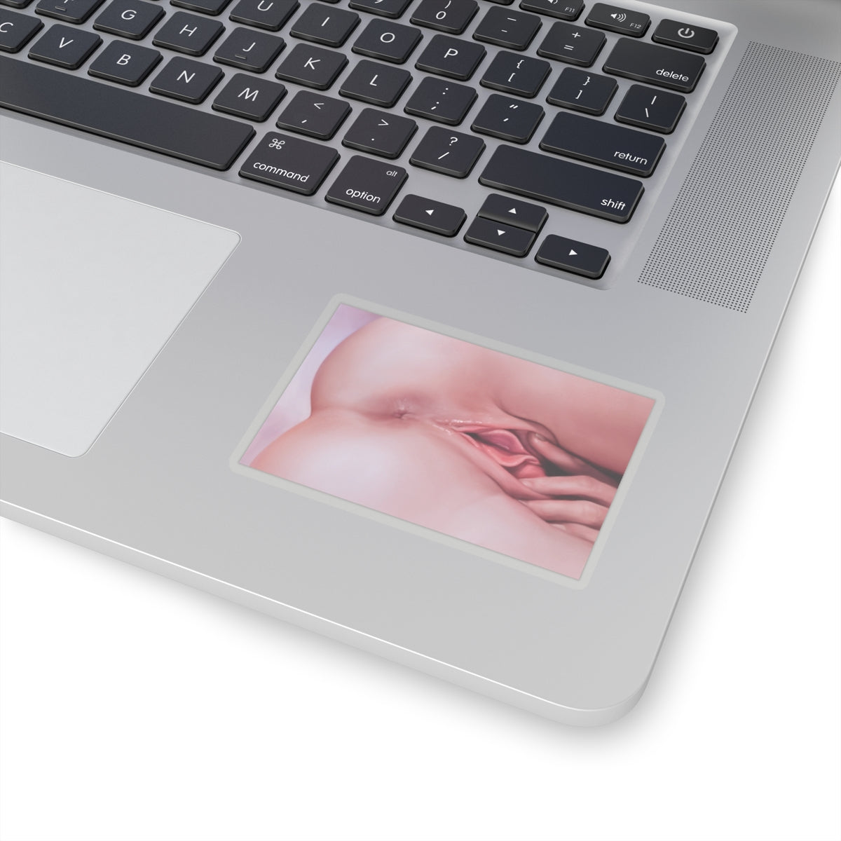 Closeup Masturbation Sticker | Pussy Spread | Anus | Vagina |  Asshole | Lewd Sticker | Lewd Anime Sticker | Hentai Sticker | Masturbating | Pussy