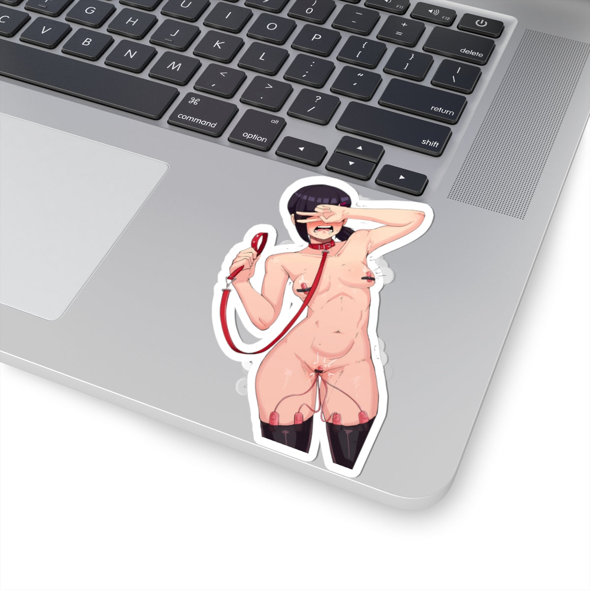 Waifu Sticker | Hentai Girls Sticker | BDSM | Public Humiliation