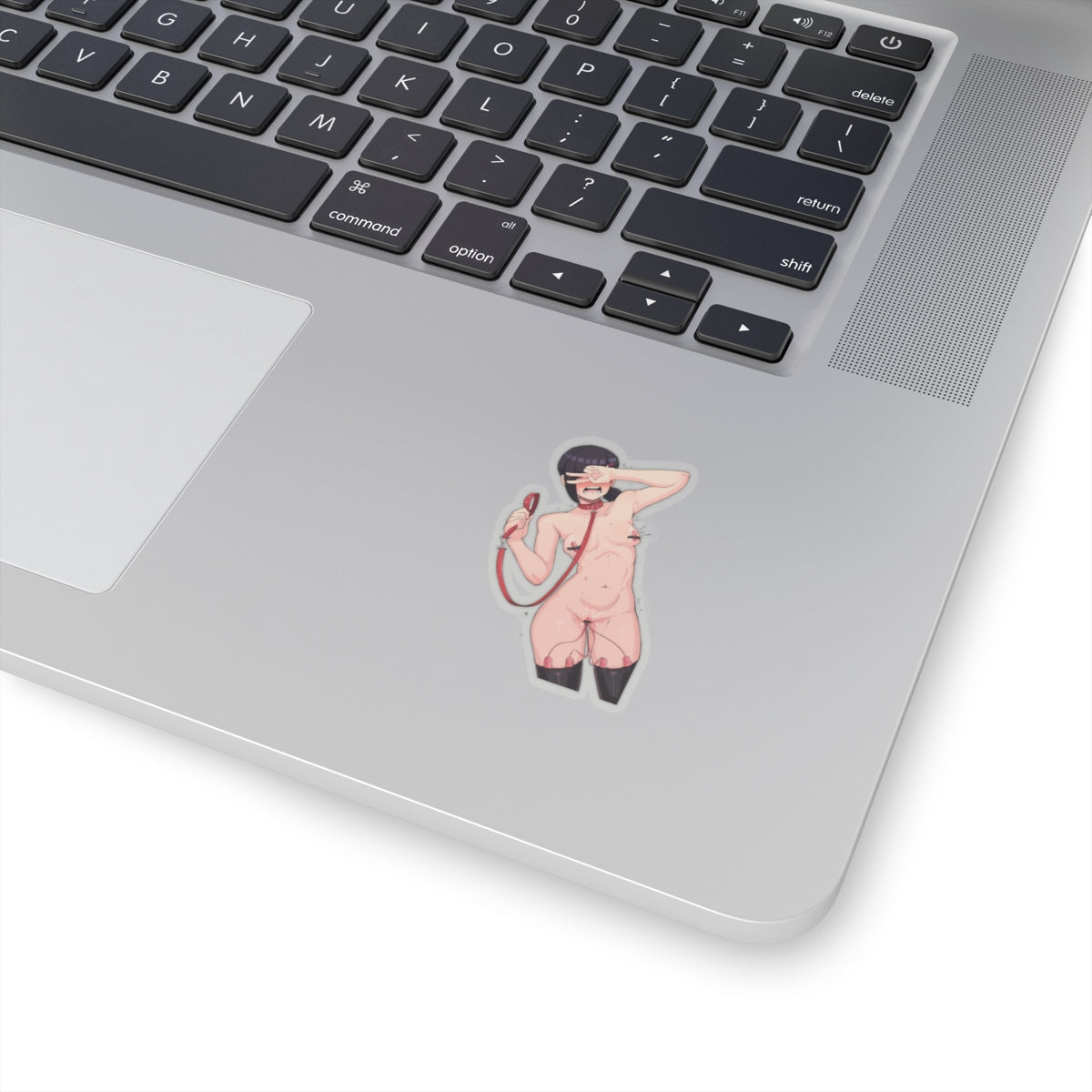 Waifu Sticker | Hentai Girls Sticker | BDSM | Public Humiliation