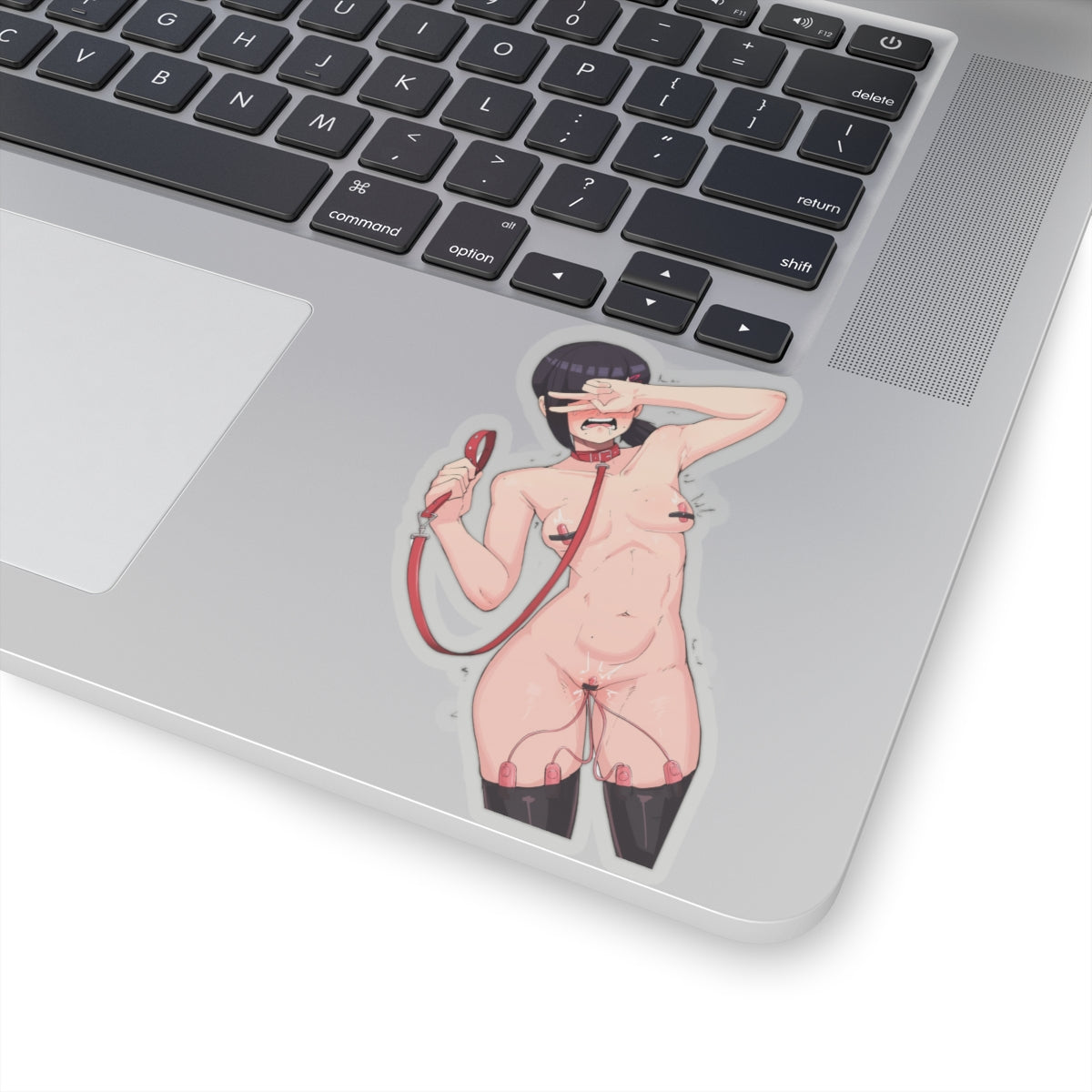 Waifu Sticker | Hentai Girls Sticker | BDSM | Public Humiliation