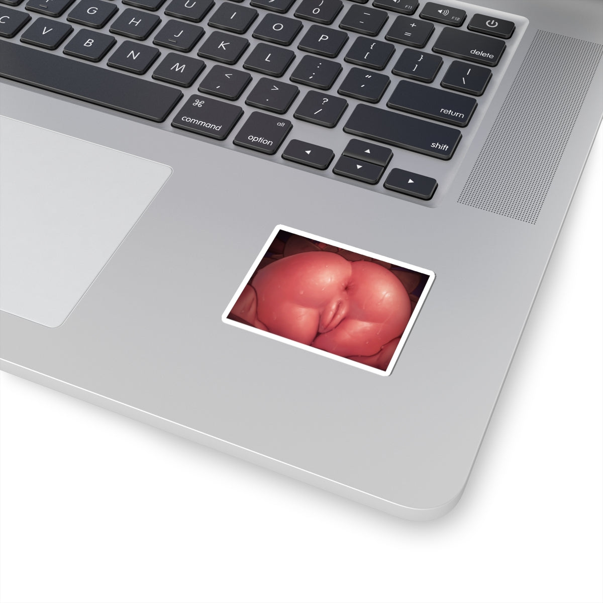 Sexy Ass Sticker | Anus | Lewd Sticker | Lewd Anime Sticker | Ebony | Brown Skin | Pussy