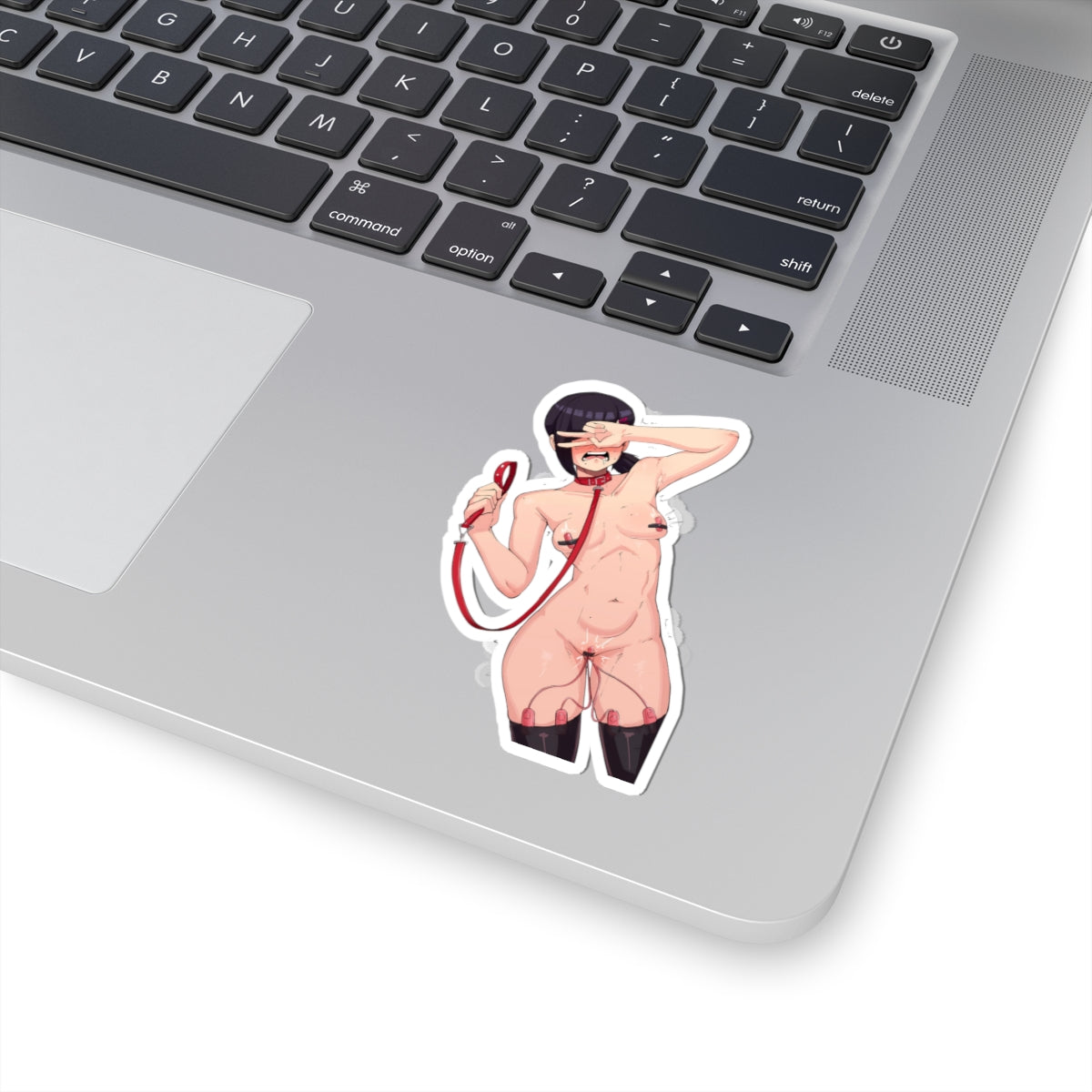 Waifu Sticker | Hentai Girls Sticker | BDSM | Public Humiliation