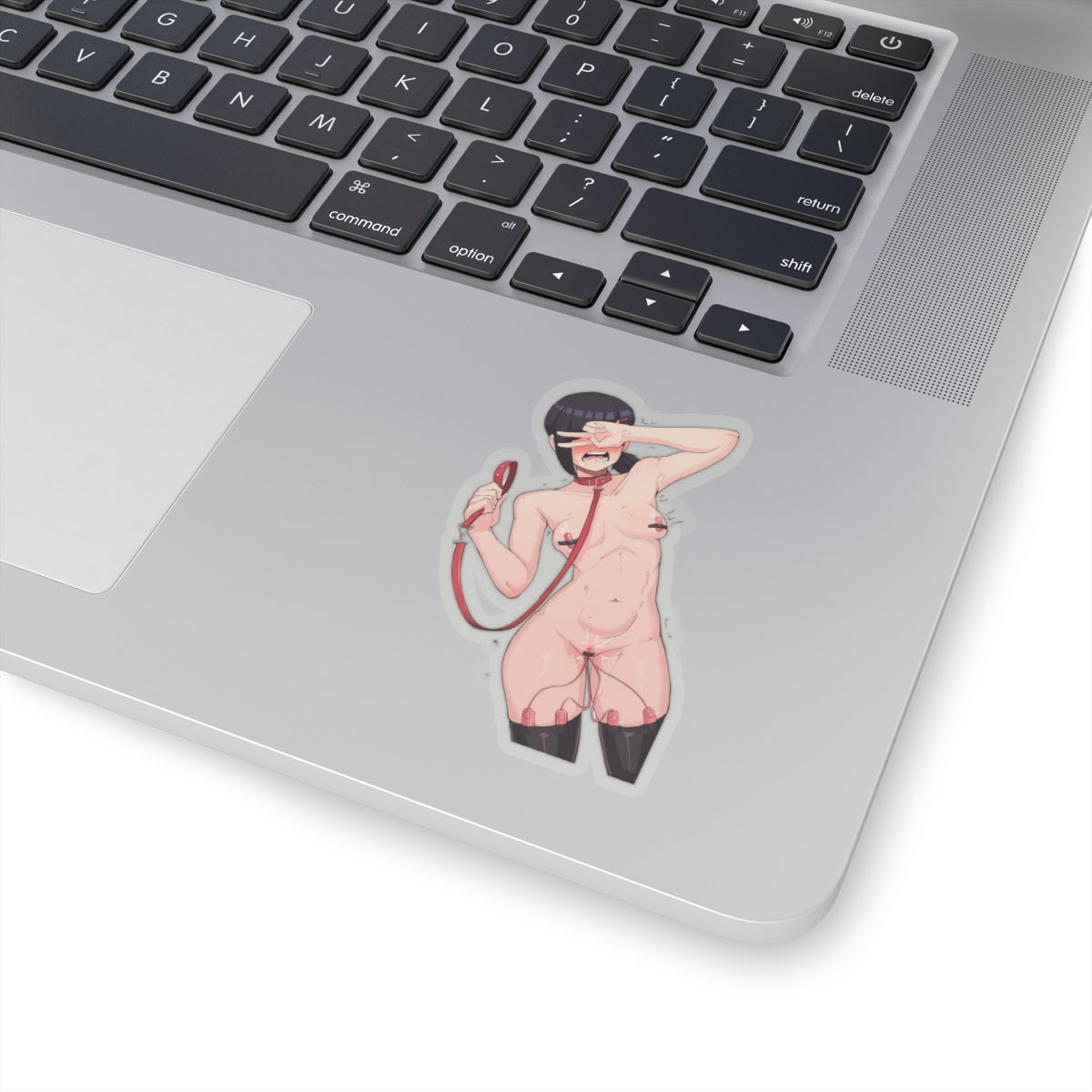 Waifu Sticker | Hentai Girls Sticker | BDSM | Public Humiliation